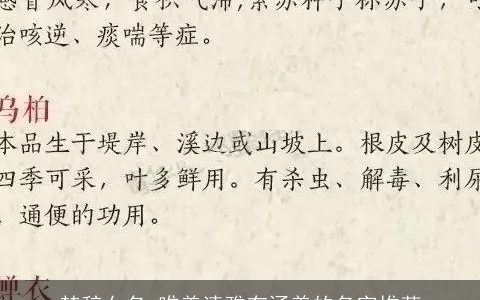 楚辞女名 唯美清雅有涵养的名字推荐