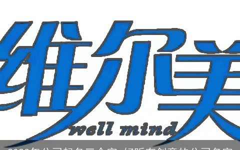 2024年公司起名三个字 好听有创意的公司名字