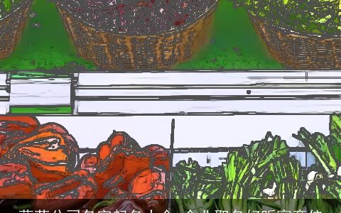 蔬菜公司名字起名大全 企业取名好听寓意佳