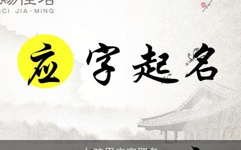 女孩用安字取名