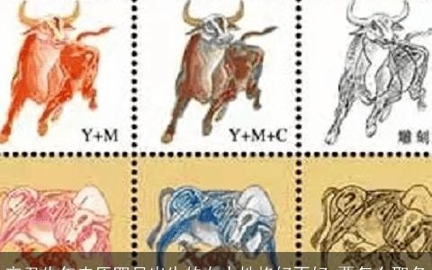 辛丑牛年农历四月出生的女人性格好不好 要怎么取名