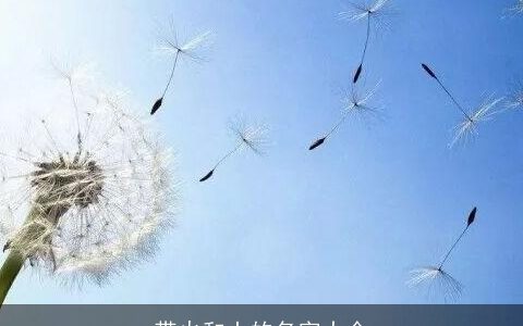 带火和土的名字大全