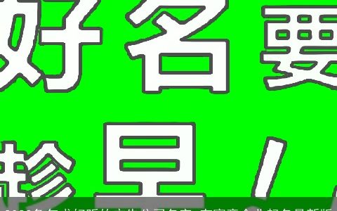 2024兔年求好听的广告公司名字 有寓意企业起名最新版