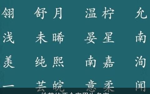 姓苏的两个字男生名字
