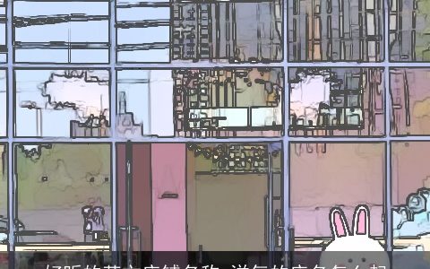 好听的英文店铺名称 洋气的店名怎么起