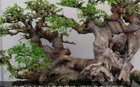 寓意好大气的名字男孩(煜做名字的寓意)