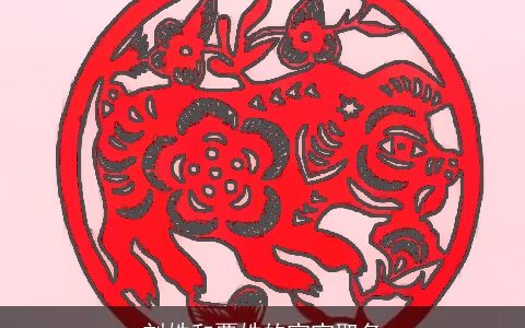 刘姓和覃姓的宝宝取名