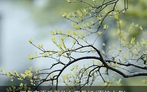 取名字雨后面什么字最好(雨的小名)