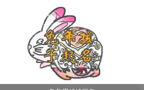 兔年男娃娃取名