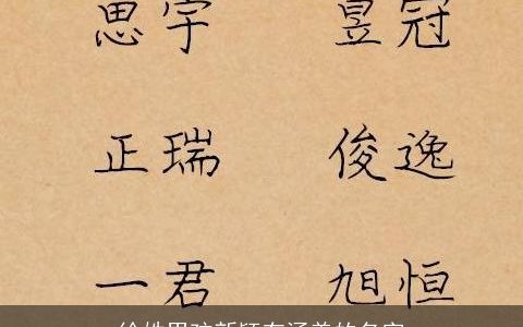 徐姓男孩新颖有涵养的名字