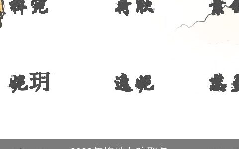 2024年梅姓女孩取名