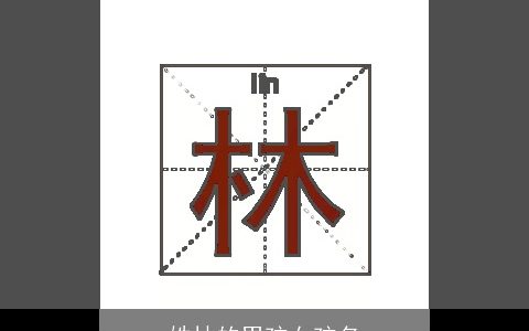 姓林的男孩女孩名