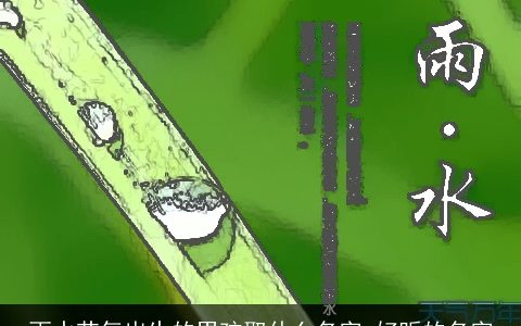 雨水节气出生的男孩取什么名字 好听的名字
