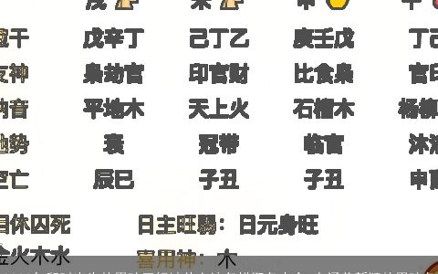 2024年卯时出生的男孩五行缺什么该怎样取名大全 有涵养新颖的男孩名