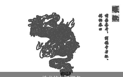 姓龙的儿子取名