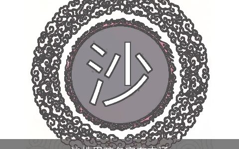 沙姓男孩名字有内涵