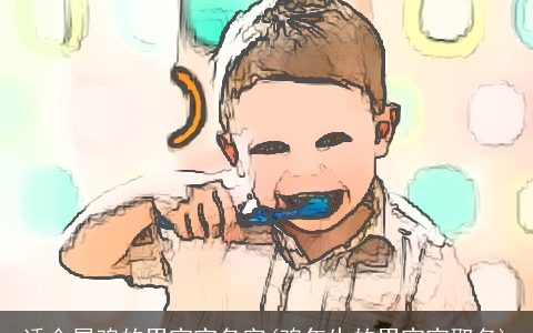 适合属鸡的男宝宝名字(鸡年生的男宝宝取名)