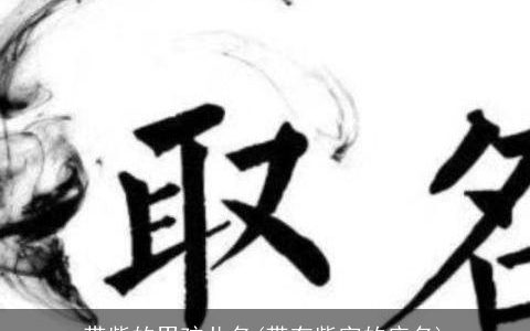 带紫的男孩儿名(带有紫字的店名)