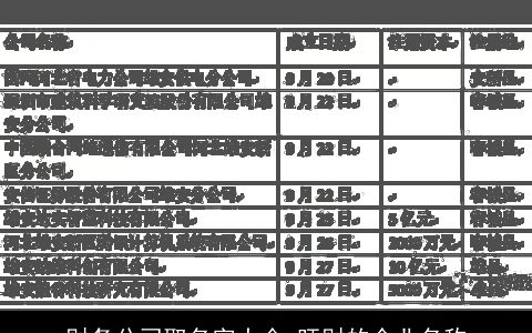 财务公司取名字大全 旺财的企业名称