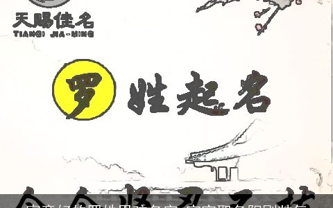 寓意好的罗姓男孩名字 宝宝取名阳刚帅气