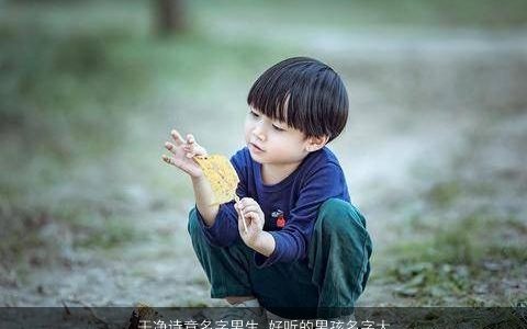 干净诗意名字男生 好听的男孩名字大全2024 诗意好听的男生男孩名最新