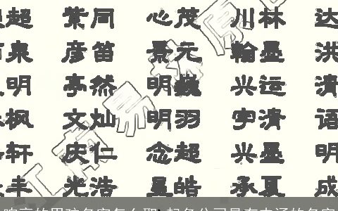 响亮的男孩名字怎么取 起名公司最有内涵的名字