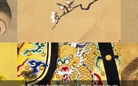 牛年男孩名字首选 姓翟的男孩名字