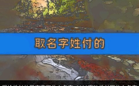 想给姓付的男宝宝取什么名字 2024男孩姓付取什么名字