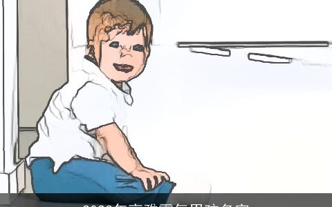 2024年高雅霸气男孩名字