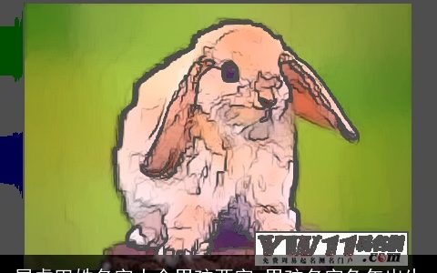 属虎田姓名字大全男孩两字 男孩名字兔年出生