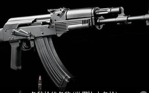 各种枪的名称(世界十大名枪)
