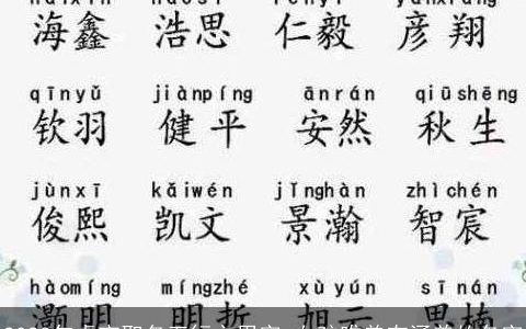 2023年虎宝取名五行之用字 女孩唯美有涵养的名字