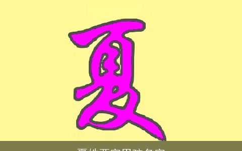 夏姓两字男孩名字