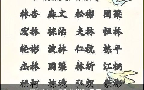 五行属水好听的男孩名字大全