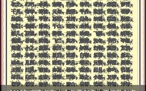 2023年宝宝名字大全免费起名之双胞胎起名