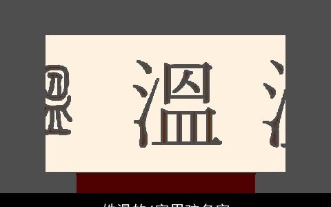 姓温的4字男孩名字