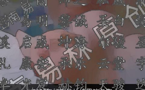 2023年好听的杜姓男孩名字