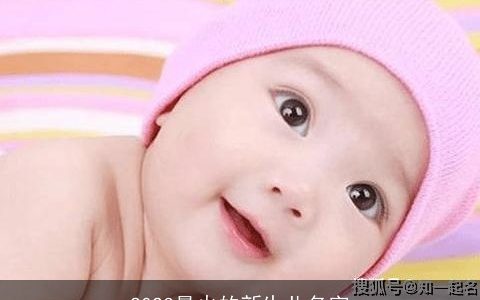 2023最火的新生儿名字