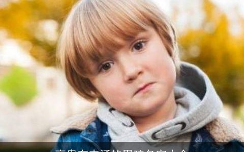 高贵有内涵的男孩名字大全