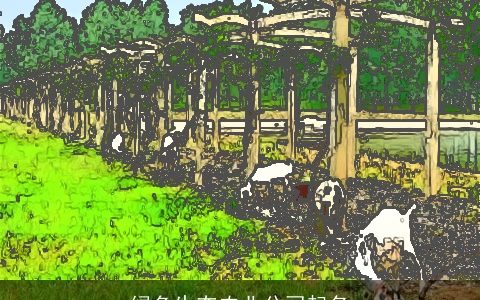 绿色生态农业公司起名