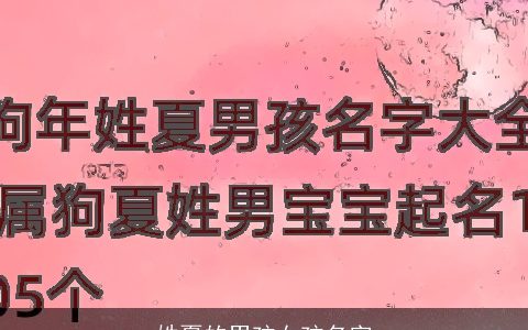 姓夏的男孩女孩名字