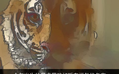 今年出生的属虎男孩好听有福气的名字