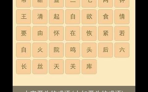 小字开头的成语(小如开头的成语)