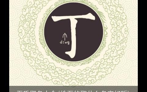 石氏取名大全(姓石的取什么名字好听)