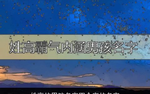 姓高的男孩名字四个字的名字