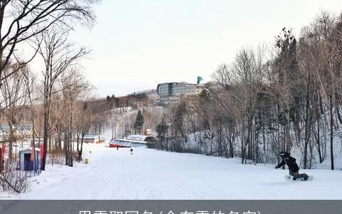 用雪取网名(含有雪的名字)