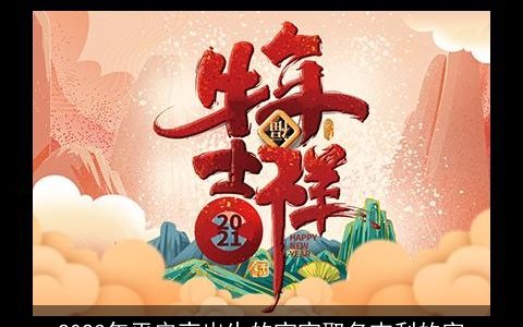 2023年平安夜出生的宝宝取名吉利的字