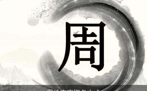 周姓宝宝取名方式