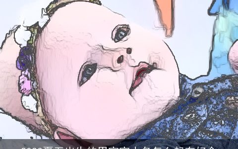 2023夏至出生的男宝宝小名怎么起有好命