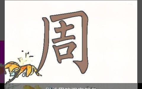 周姓男孩双字起名